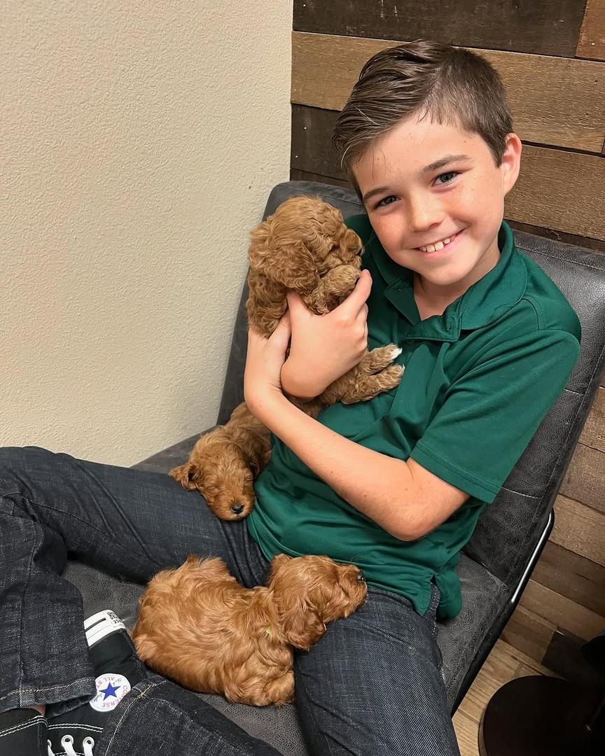 whatsapp image 2025 08 04 at 13.55.07 1.jpeg