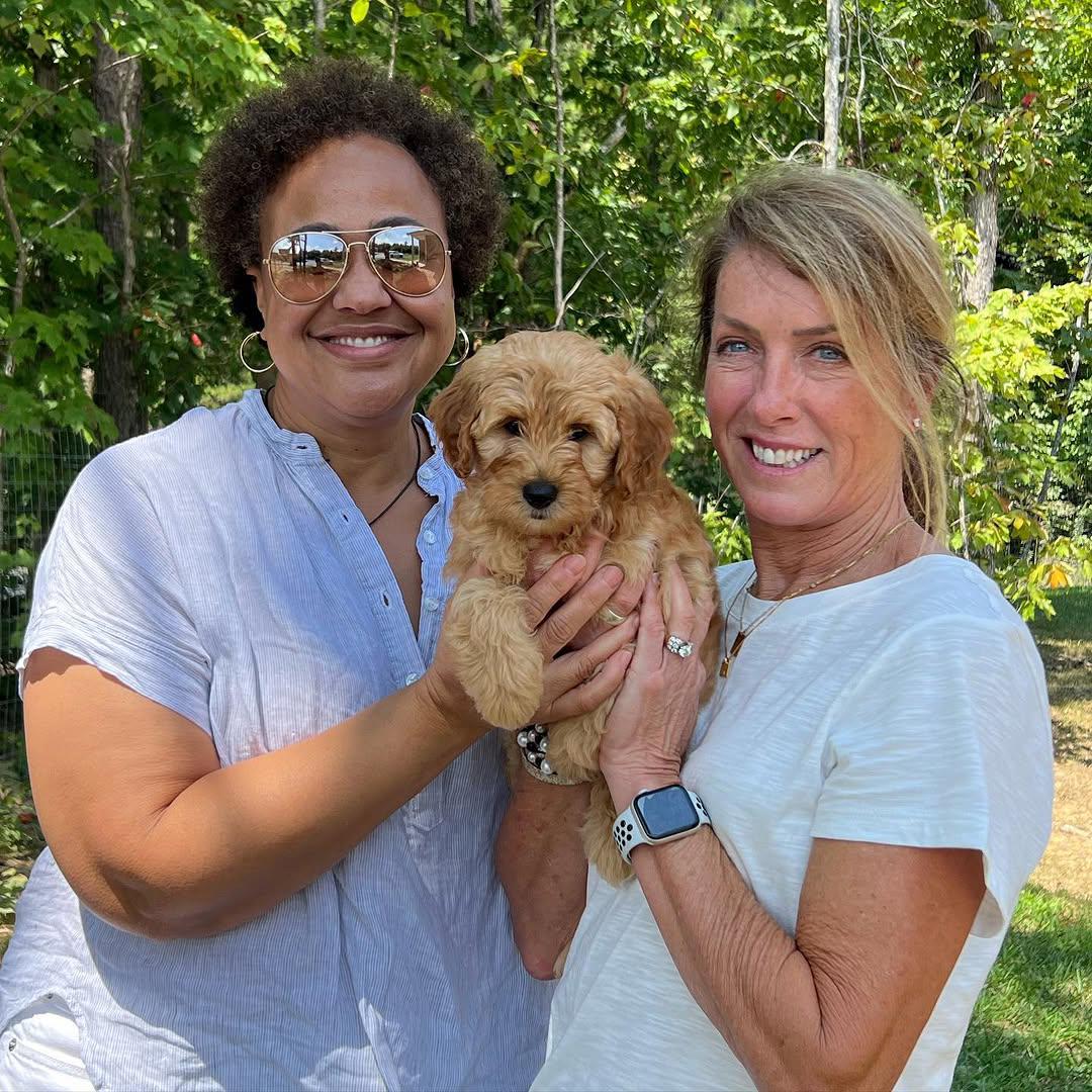 whatsapp image 2025 08 04 at 13.56.55 1.jpeg