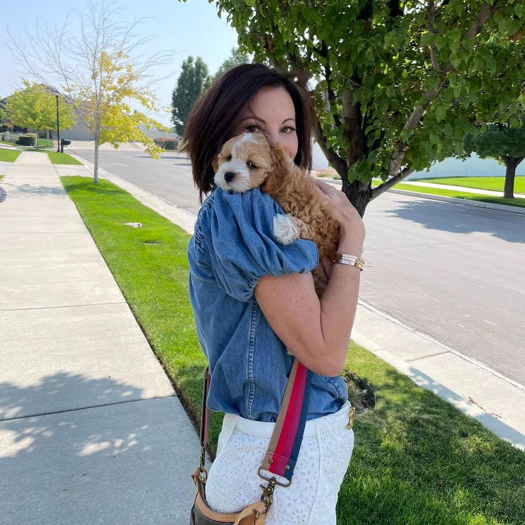 whatsapp image 2025 08 04 at 13.56.56.jpeg