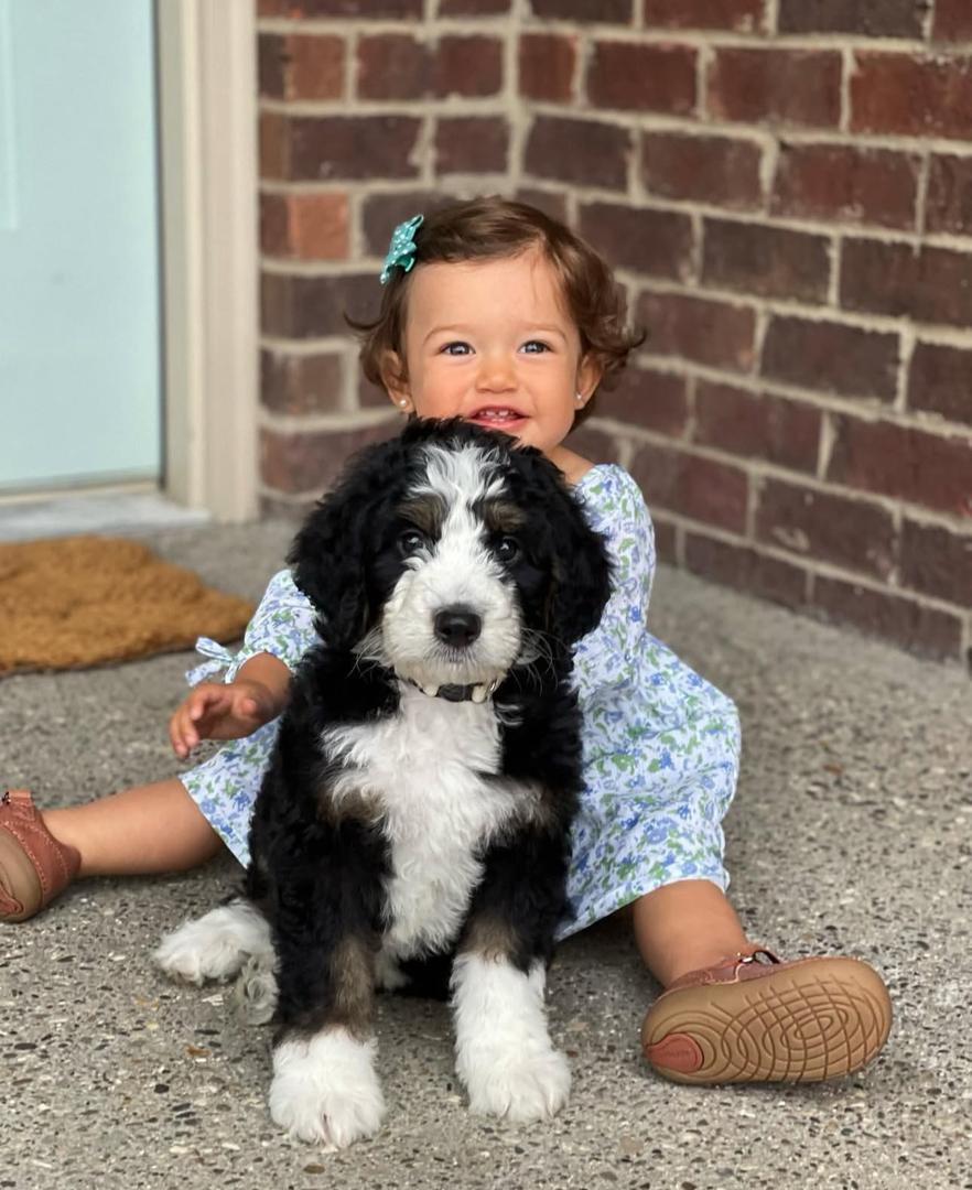 whatsapp image 2025 08 04 at 14.00.15 1.jpeg